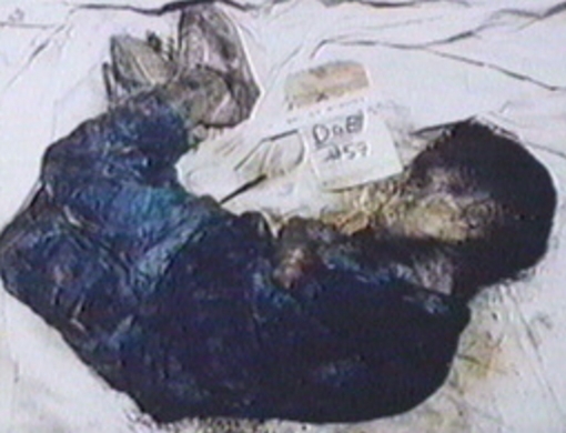 photo of fire victim